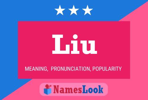 Liu Name Poster