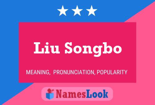 Liu Songbo Name Poster