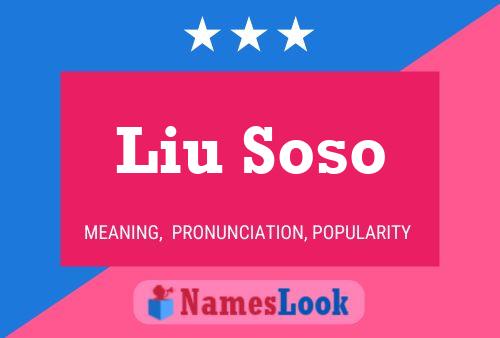 Liu Soso Name Poster