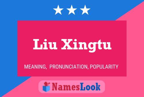 Liu Xingtu Name Poster