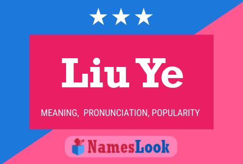 Liu Ye Name Poster