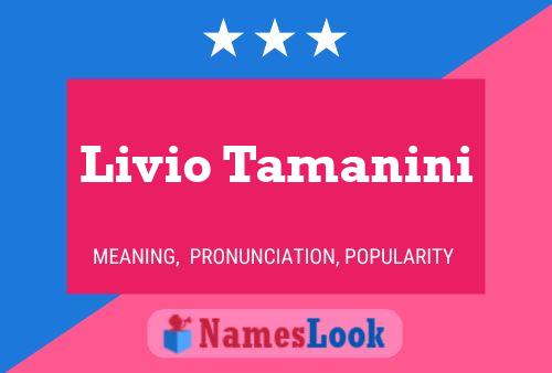 Livio Tamanini Name Poster