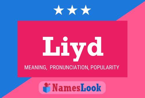 Liyd Name Poster