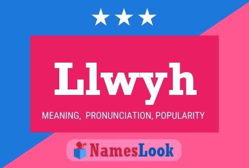 Llwyh Name Poster