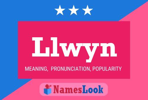 Llwyn Name Poster