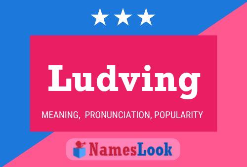 Ludving Name Poster