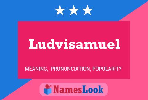 Ludvisamuel Name Poster