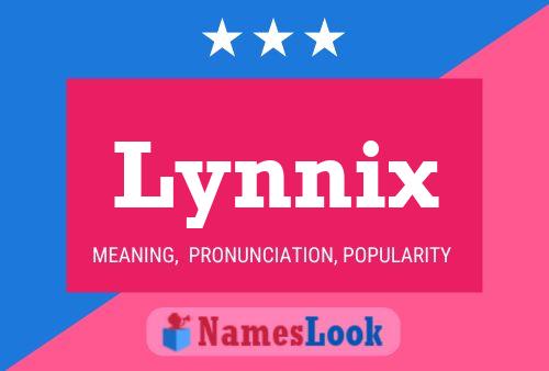 Lynnix Name Poster