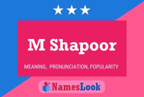 M Shapoor Name Poster