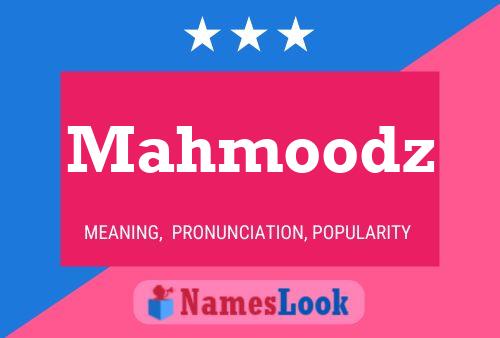 Mahmoodz Name Poster