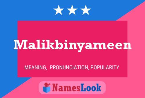 Malikbinyameen Name Poster