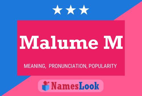 Malume M Name Poster