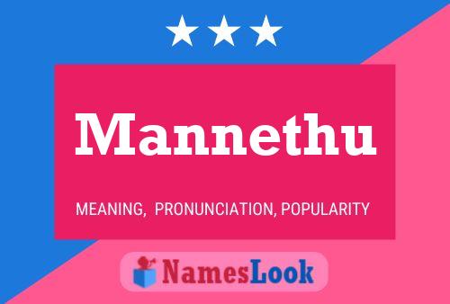 Mannethu Name Poster