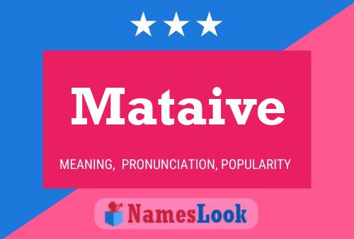 Mataive Name Poster