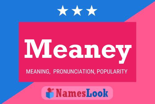 Meaney Name Poster