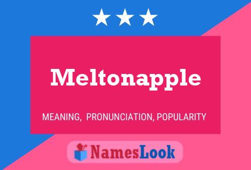 Meltonapple Name Poster