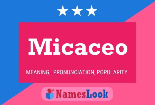 Micaceo Name Poster