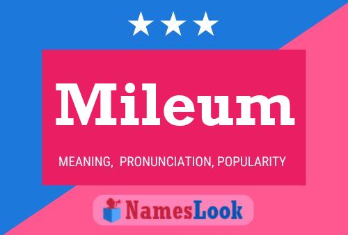 Mileum Name Poster