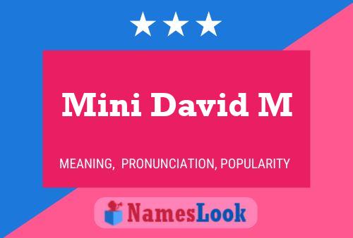 Mini David M Name Poster