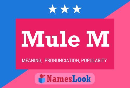 Mule M Name Poster