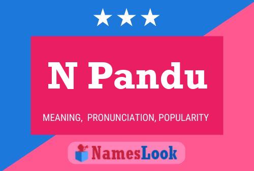 N Pandu Name Poster