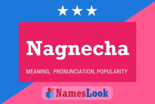 Nagnecha Name Poster