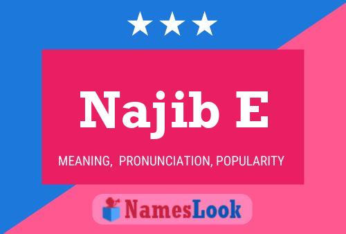 Najib E Name Poster