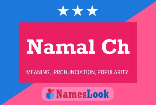 Namal Ch Name Poster