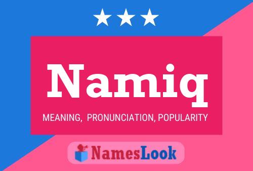 Namiq Name Poster