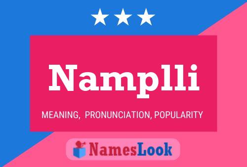 Namplli Name Poster