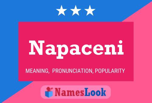 Napaceni Name Poster