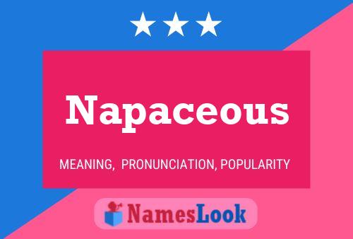 Napaceous Name Poster