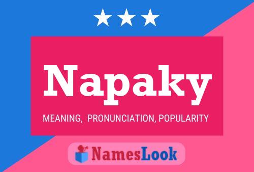 Napaky Name Poster