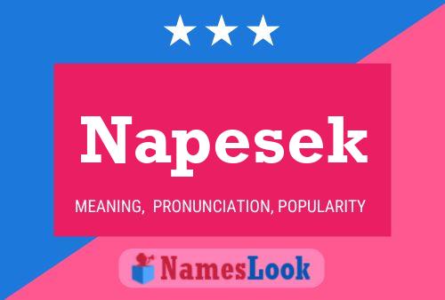 Napesek Name Poster