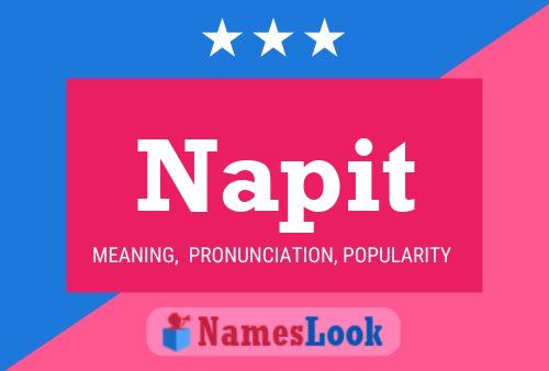 Napit Name Poster