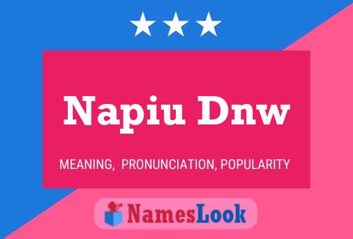 Napiu Dnw Name Poster