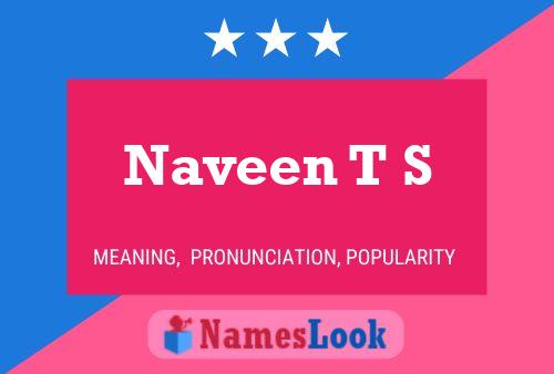 Naveen T S Name Poster