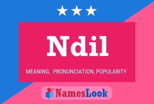 Ndil Name Poster