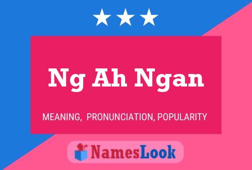 Ng Ah Ngan Name Poster