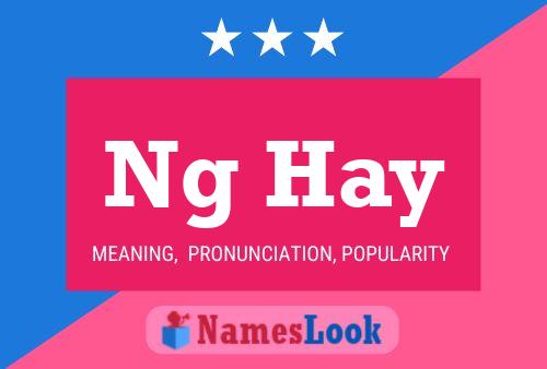 Ng Hay Name Poster