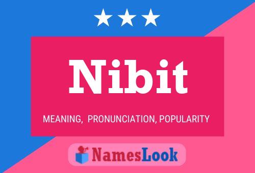 Nibit Name Poster