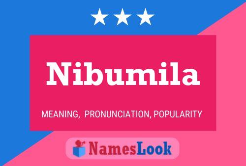 Nibumila Name Poster