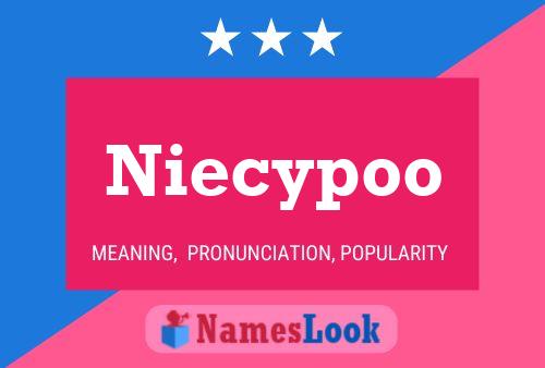 Niecypoo Name Poster