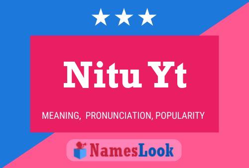 Nitu Yt Name Poster