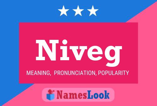 Niveg Name Poster