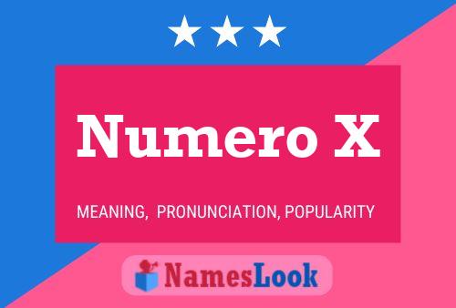 Numero X Name Poster