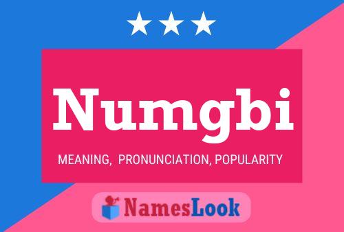 Numgbi Name Poster