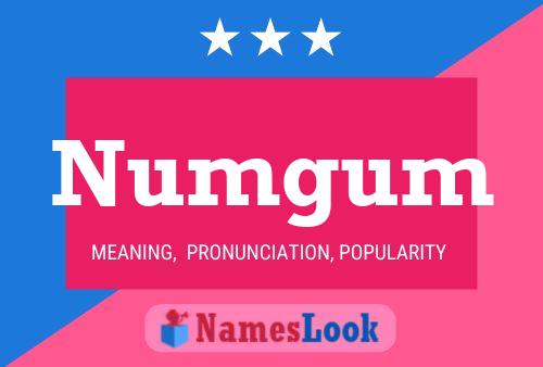 Numgum Name Poster