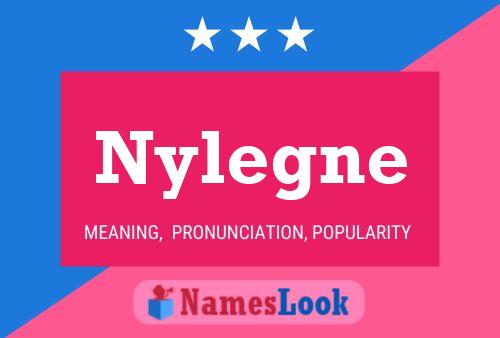 Nylegne Name Poster