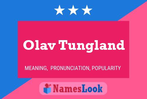 Olav Tungland Name Poster